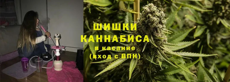 Каннабис Ganja  Отрадное 